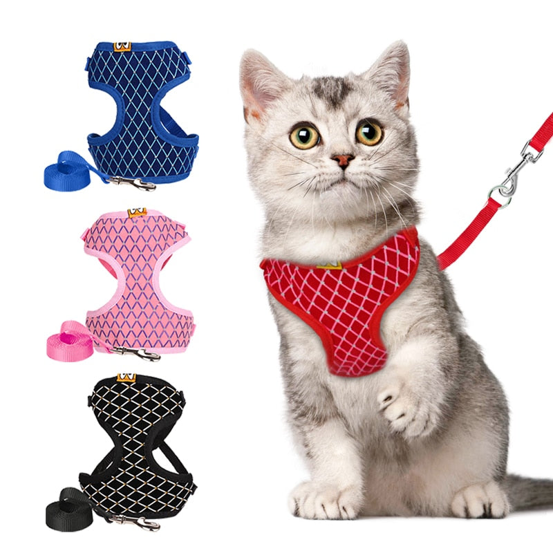 Rhinestone Cat Harness And Leash Set