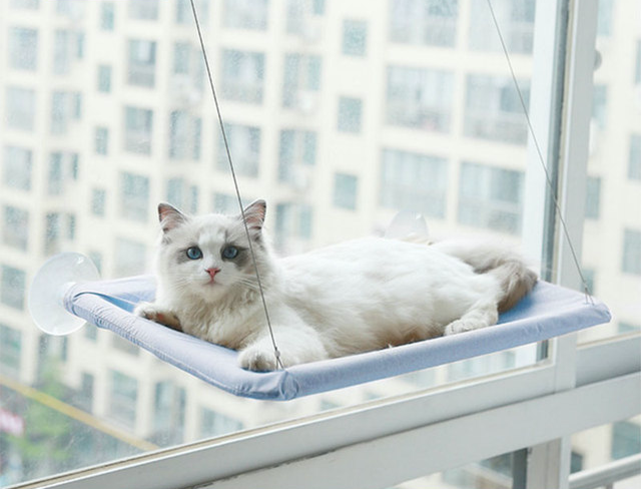 Window Hanging Cat Hammock