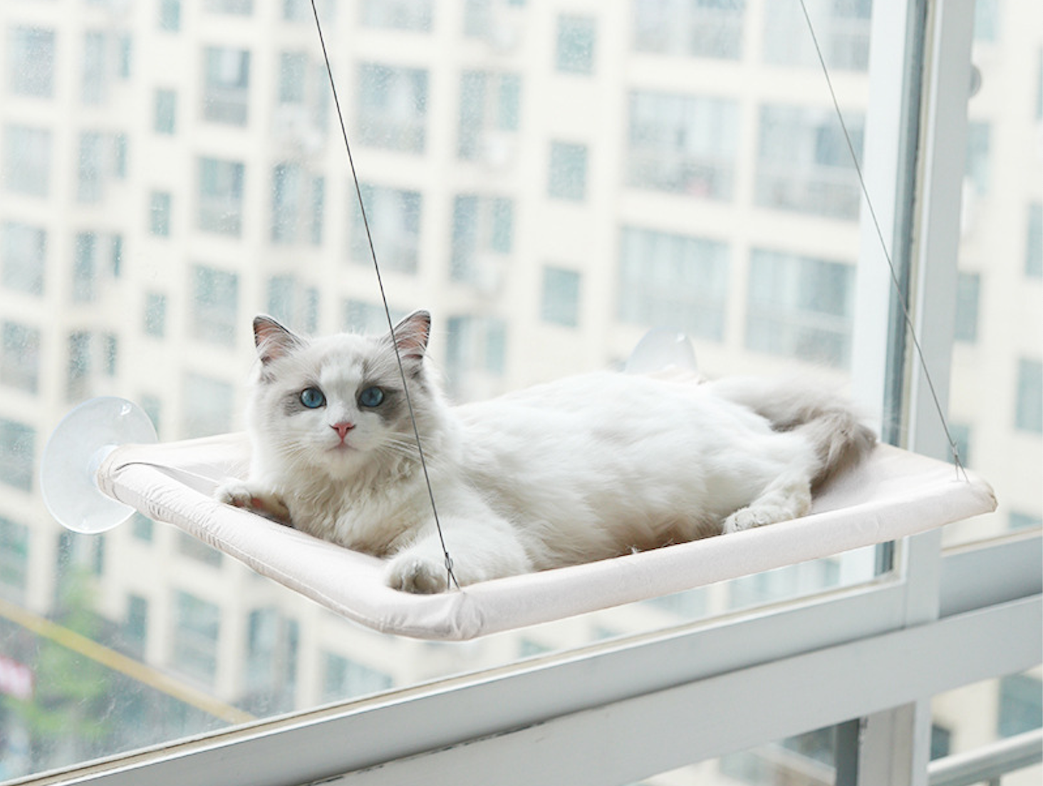 Window Hanging Cat Hammock