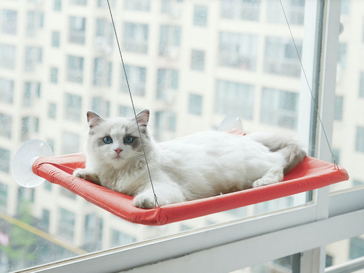 Window Hanging Cat Hammock